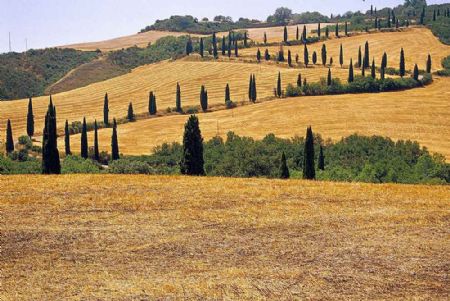 Nasce il Premio “Terra di Siena”. Il 19 dicembre la consegna dei riconoscimenti dell’UPA