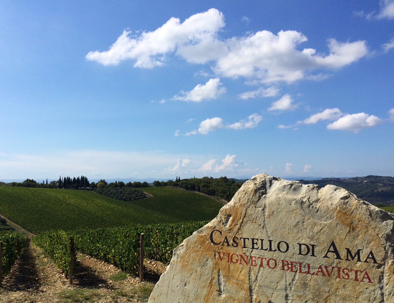 Ama, nel cuore del Chianti, dove il vino diventa arte