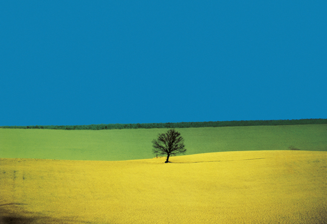La vita in uno scatto. A San Gimignano “Full color”, omaggio al maestro della fotografia Fontana