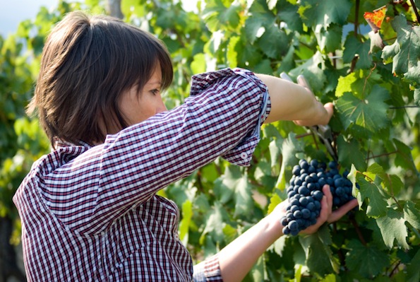Imprese rosa. In Toscana crescono le aziende femminili, in vetta agricoltura e commercio