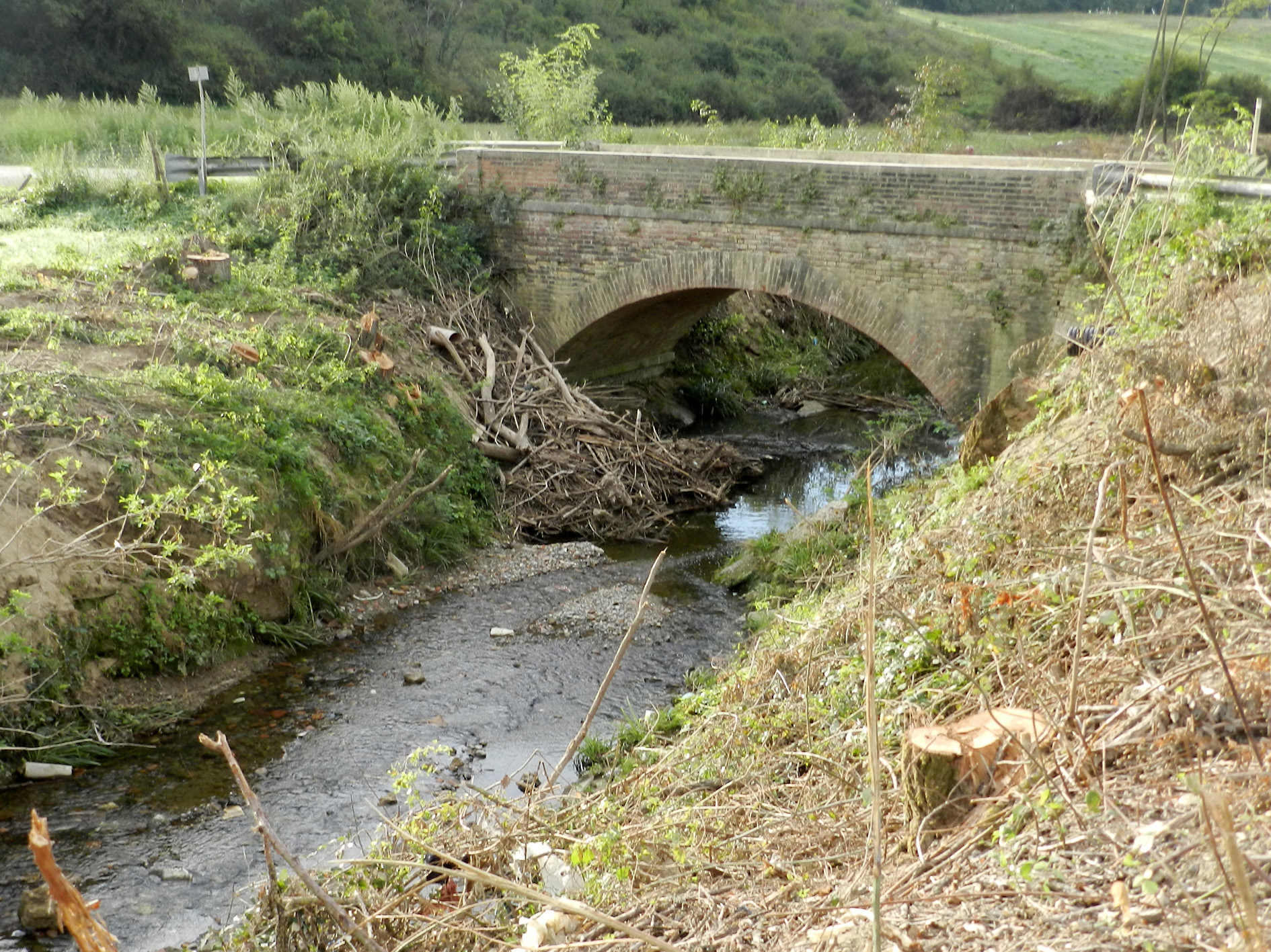 Ambiente distrutto. Wwf contro Provincia di Siena e Consorzio di Bonifica: «Arbia ridotto a canale di scolo»
