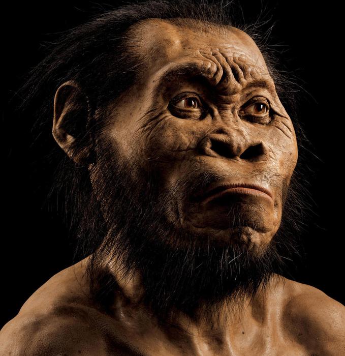 La scoperta. Trovati in Sudafrica resti di una nuova specie umana, un toscano nel team di ricerca