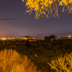 Selva oscura