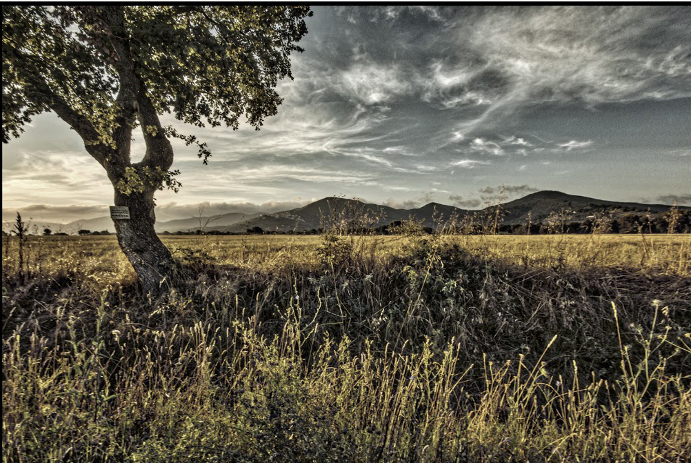 Verso l’autunno
