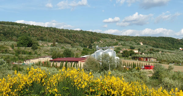 Al Podere Pereto il tempo sembra essersi fermato