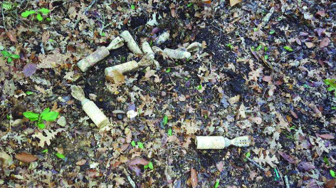 Sorpresa nel bosco. Fungaiolo trova nove bombe da mortaio, gli artificieri le fanno brillare