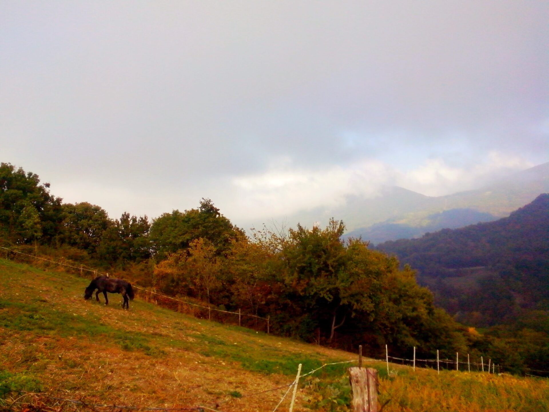 La quiete prima della tempesta