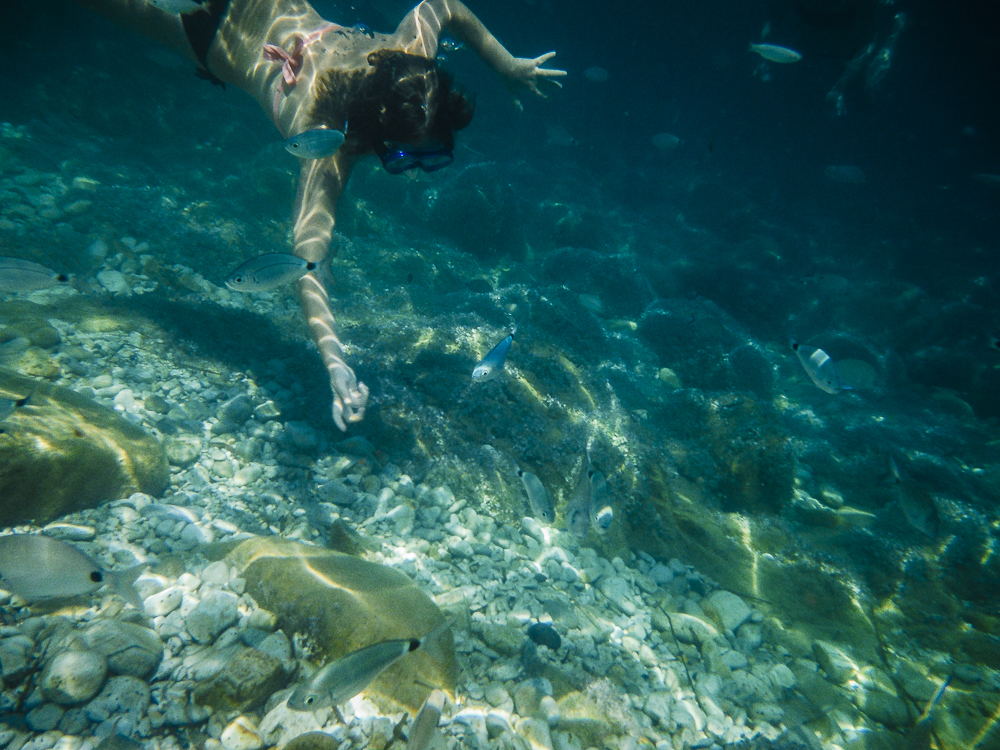 Estate, la vacanza piace a km 0. Il mare la meta più ricercata. 6 su 10 in viaggio ad agosto