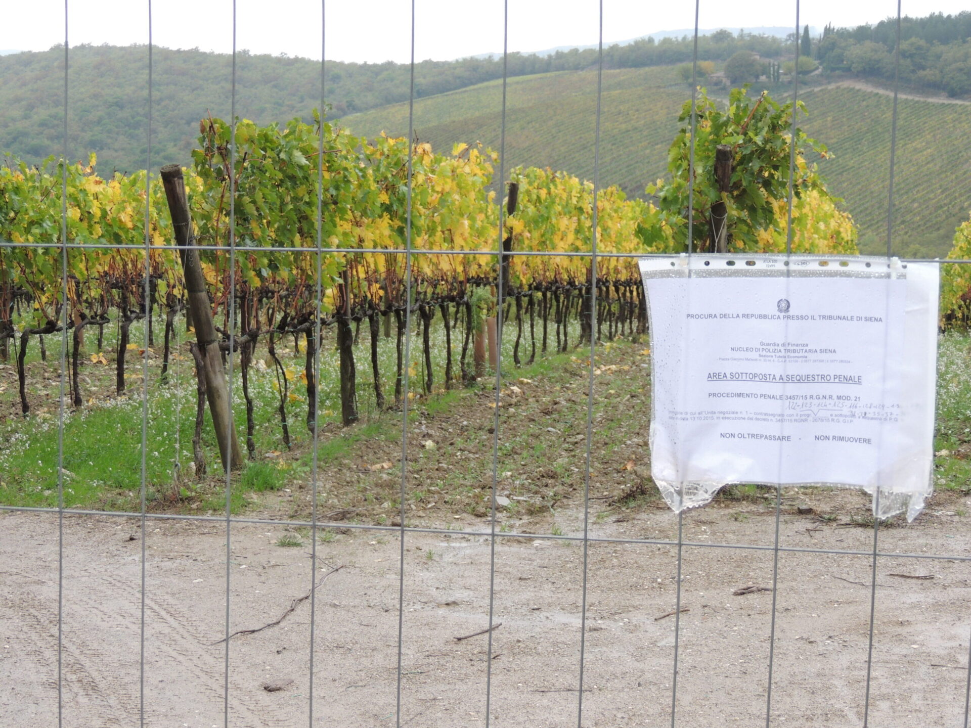 Terra di frode. Proprietà occultate, GdF sequestra vigne e immobili nel Chianti