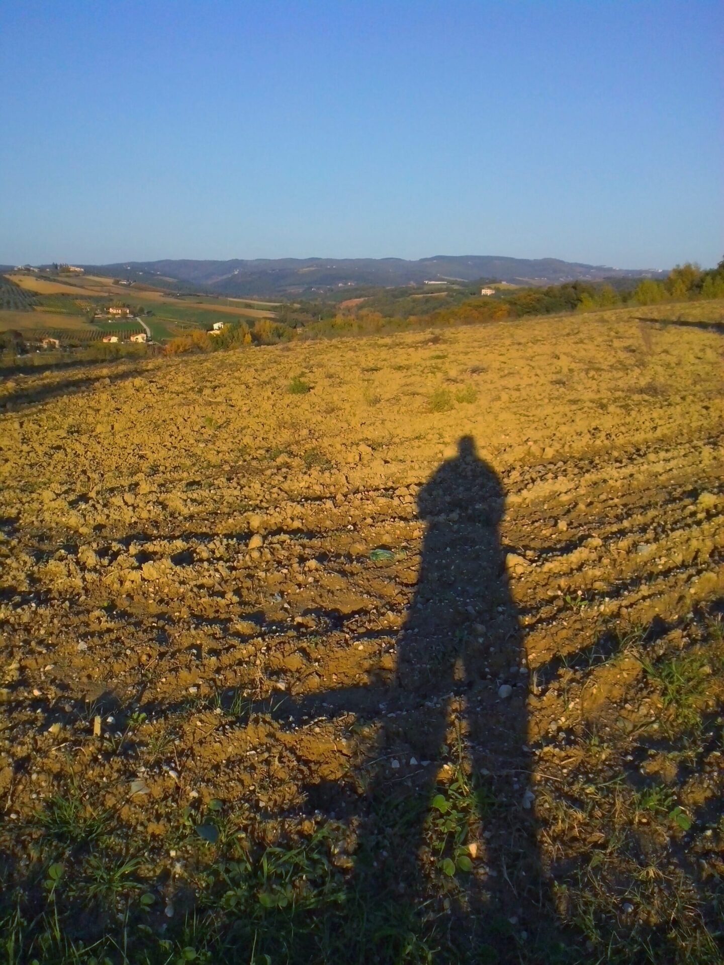 Manie di grandezza