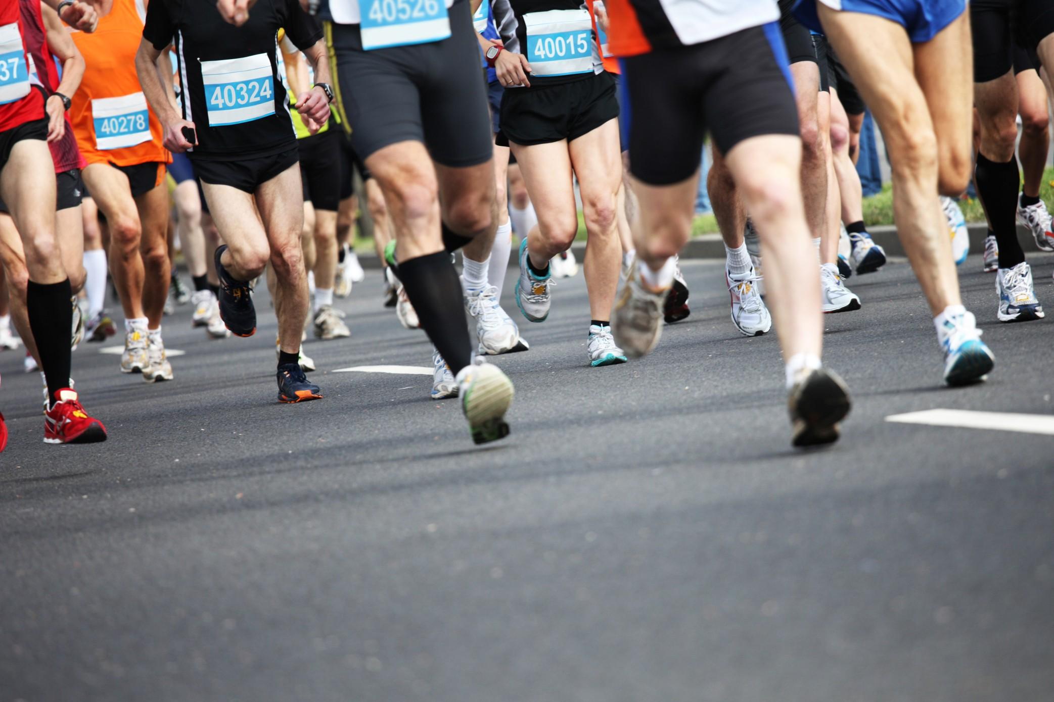 Alla Firenze Marathon 20 atleti sinalunghesi. E’ la più alta rappresentanza per le terre di Siena