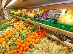 Caro-gasolio e sciopero tir, scatta l’allarme in Toscana: forniture di ortofrutta a rilento