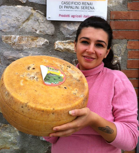Pecorino gigante in degustazione al “GioveDiVino”
