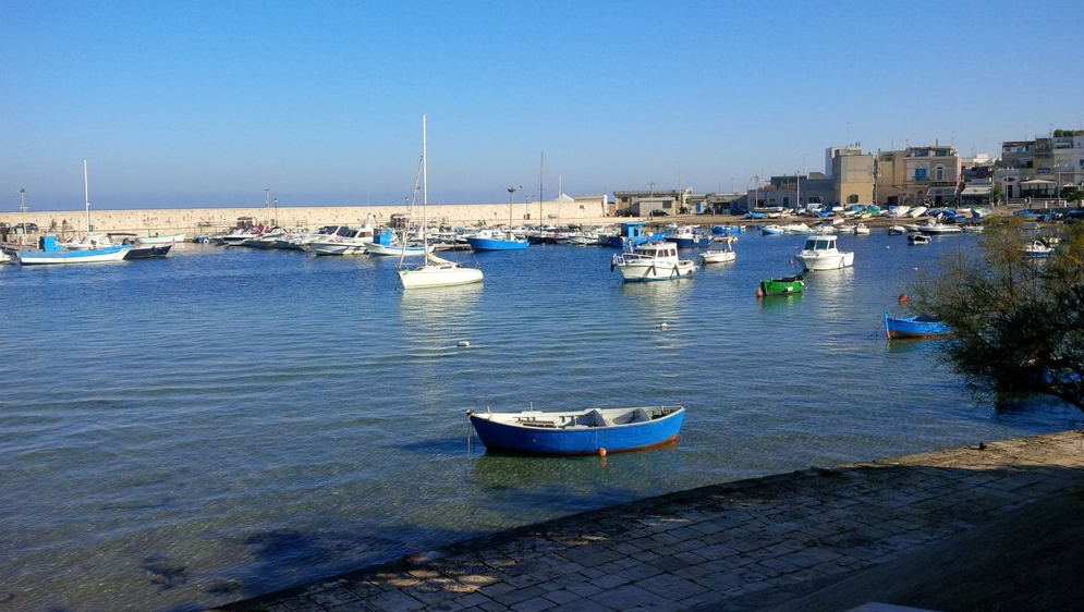 Finchè la barca va