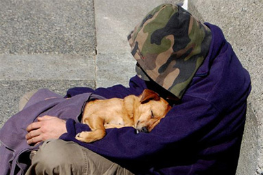 A riparo dal freddo. Arezzo, servizio di accoglienza per senzatetto e i loro cani