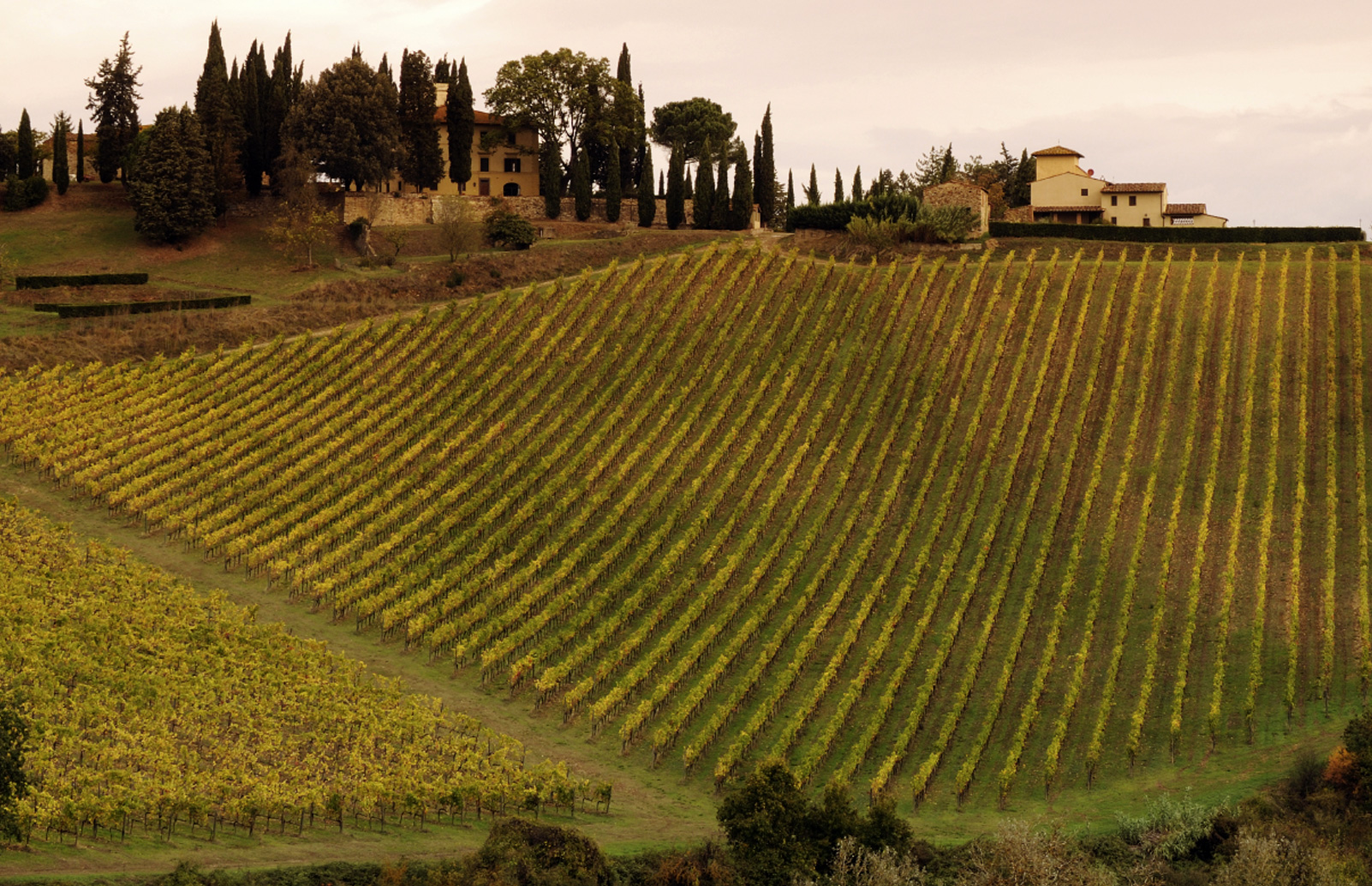 Patrimonio Unesco. Il Chianti candida il suo stile di vita da sogno