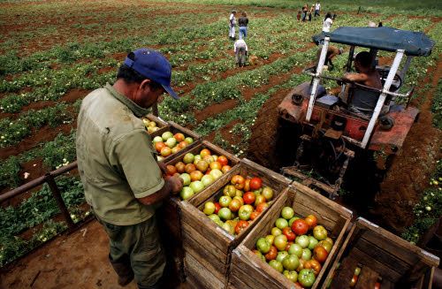 Cooperative in frenata in Toscana, -4% in un anno: l’allarme di Confcooperative: “Modello in pericolo”
