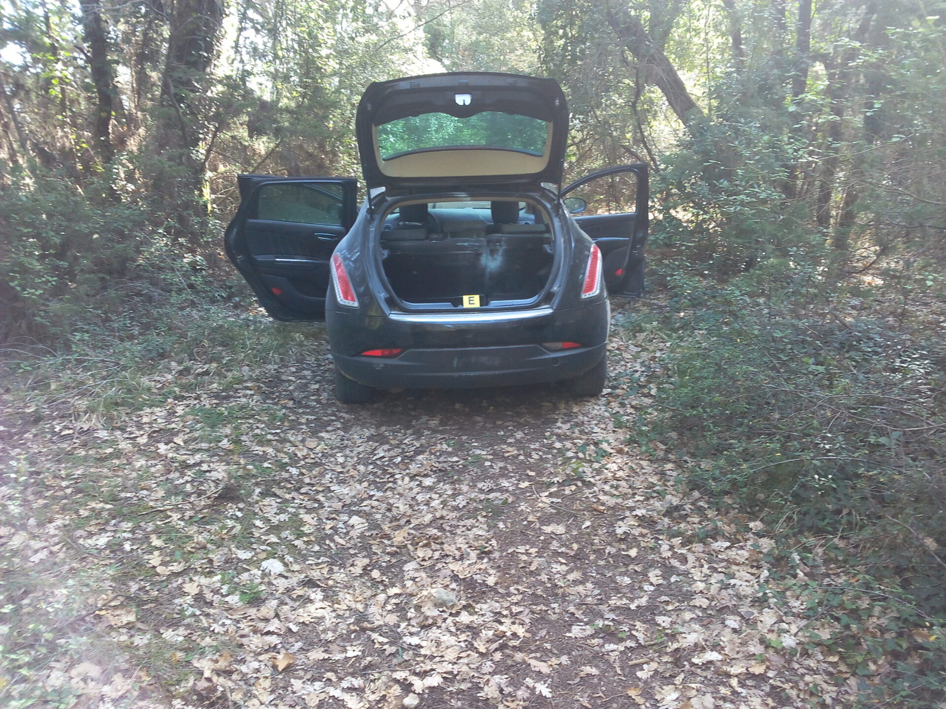Assalto al caveau. Le 4 auto del commando ritrovate abbandonate nel bosco
