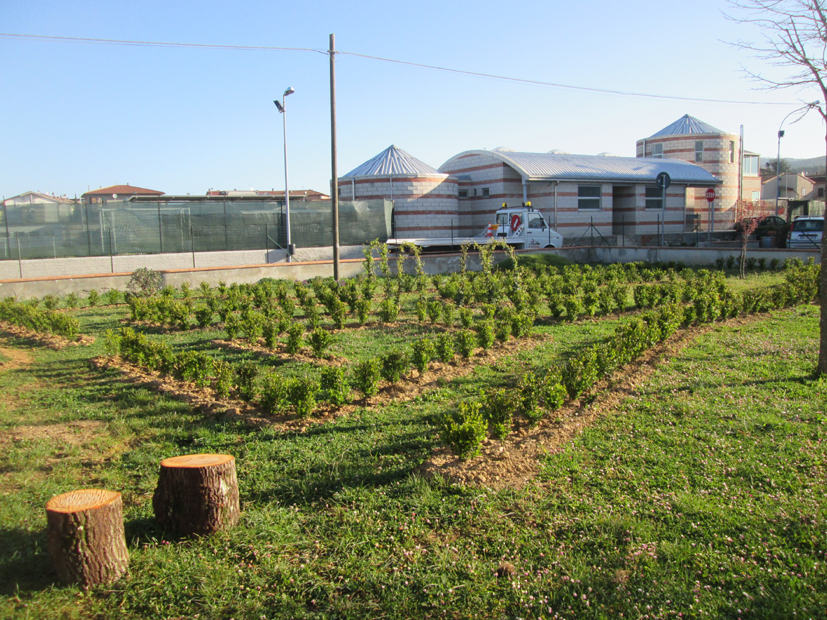 Un ‘cuore verde’ per l’asilo Jacopo Benedetti. Si inaugura il nuovo giardino del nido