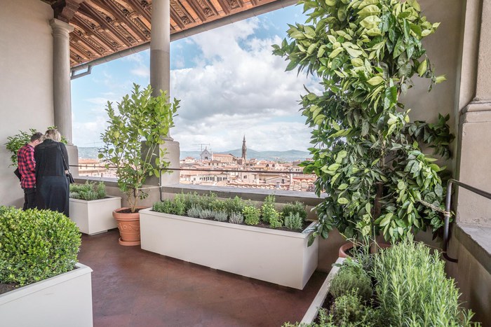 Arte verde. Firenze, a Palazzo Vecchio “spunta” un giardino nel mezzo del percorso museale