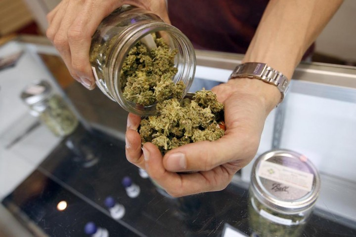 Reazioni avverse. Cannabis a uso medico, la maggior parte delle segnalazioni dalla Toscana