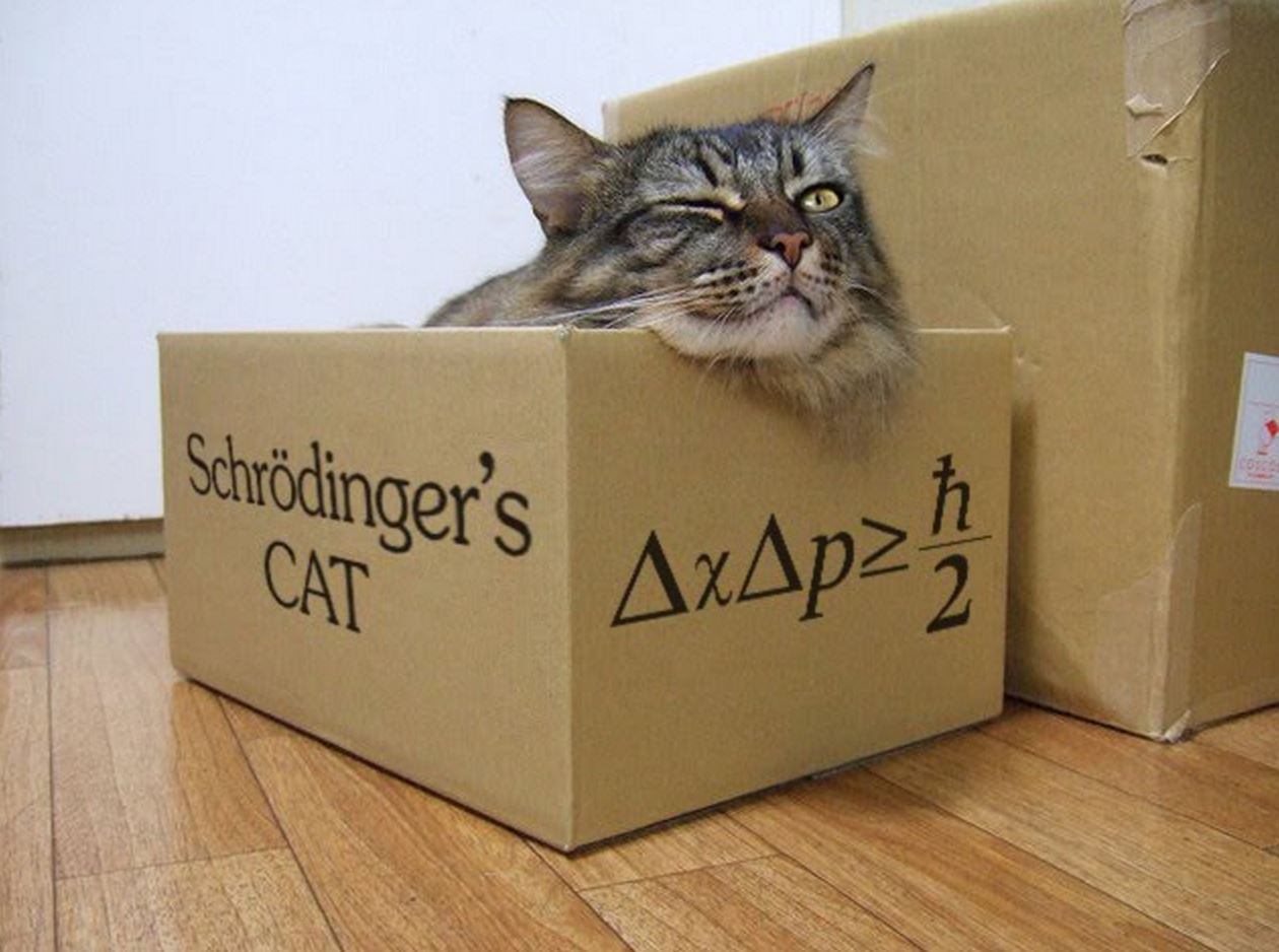 Quantistica toscana. Ricerca Cnr, a Firenze macchina per generare zoo di Schrodinger
