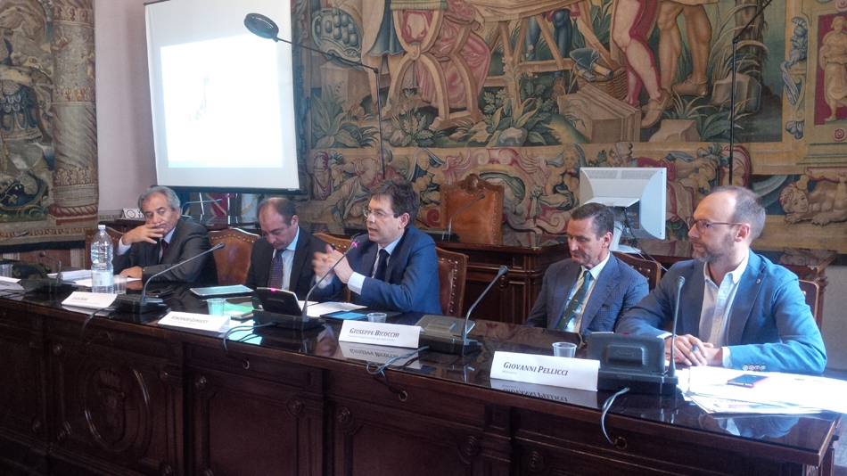 Testo Unico del vino, in approvazione al Senato prima della vendemmia