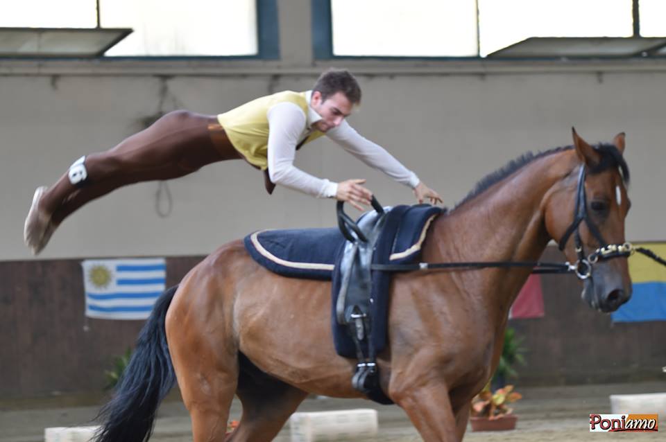 Volteggio a cavallo. Davide Dominici a Le Mans per un sogno mondiale