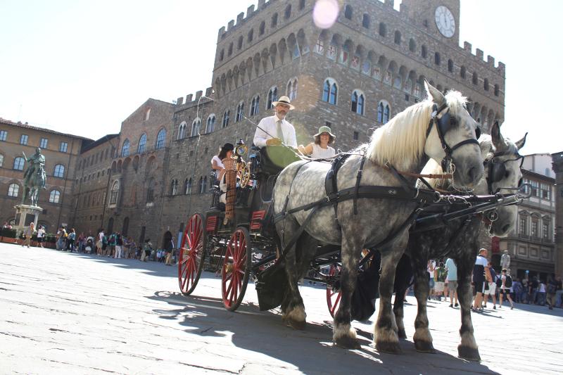 Stop carrozzelle. Protesta animalisti, «basta usare cavali per trasportare turisti»