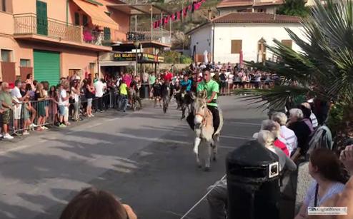 Al trotto e a spinta. Palio degli asini al Giglio, vince il rione Centro