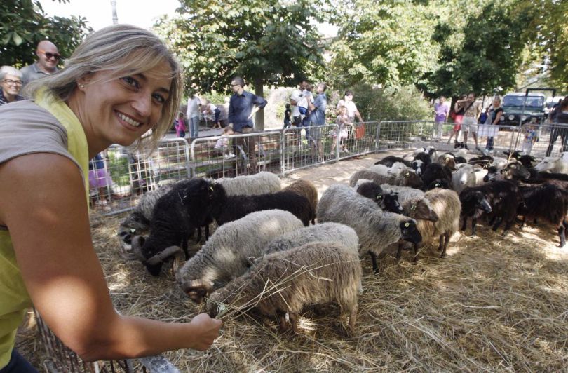 Luci e ombre. Siena, se la “Fattoria in Fortezza” non è a chilometro zero