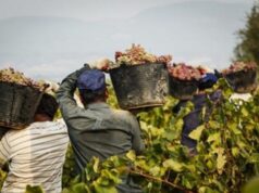 Caporalato, Giani firma accordo con procuratore Tescaroli per protezione e reinserimento vittime