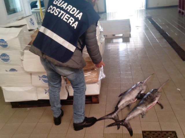 Pesce d’ottobre. Guardia Costiera, 7,5 tonnellate di prodotti ittici sotto sequestro