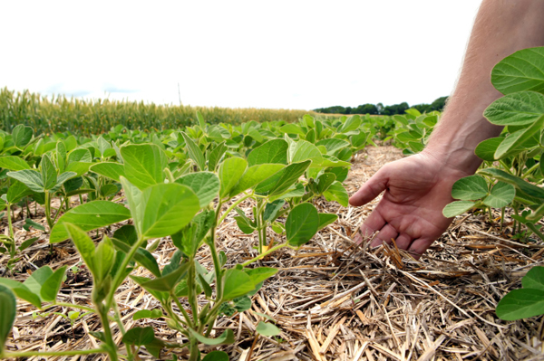 Periti Agrari a congresso. Lucca, focus sui giovani. Il presidente Benanti: «Nostra figura sempre più moderna e innovativa»