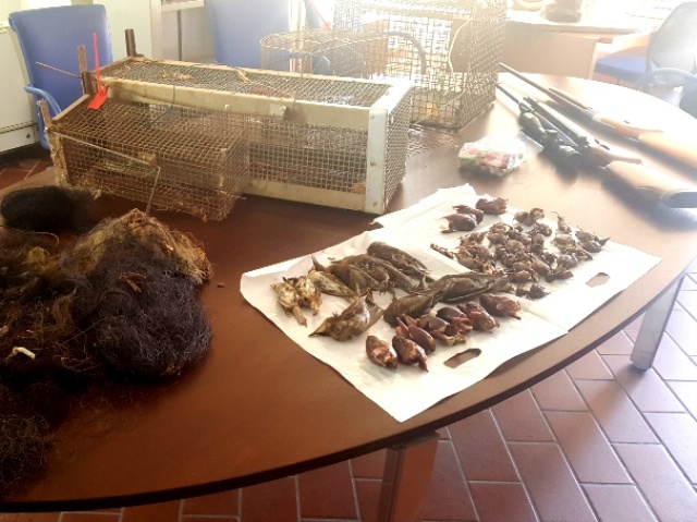 Cacciatore nei guai. Scoperto con 50 uccelli vietati in congelatore; reti e trappole non consentite
