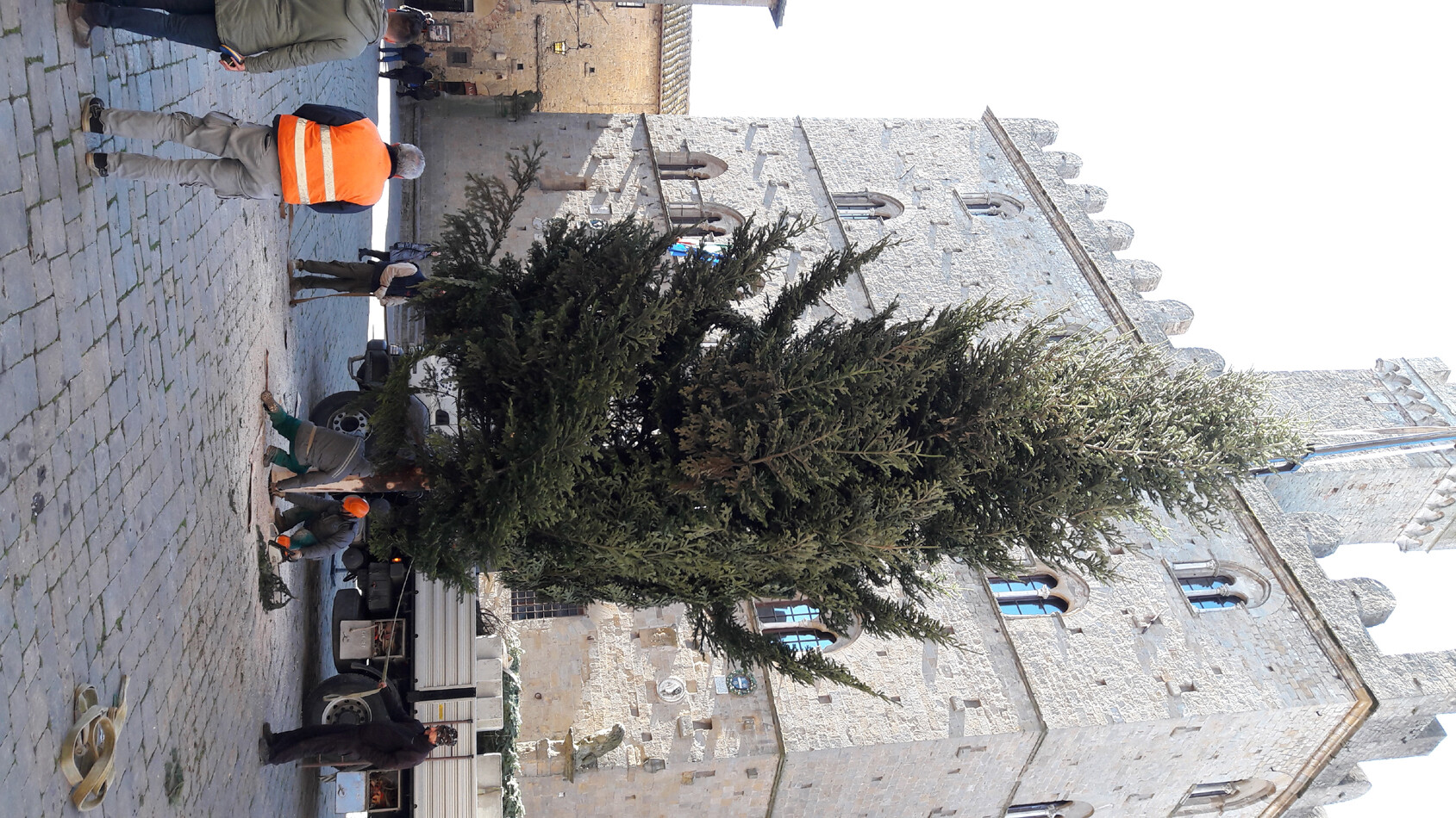 E’ Natale a Volterra. Posizionato albero da 13 metri in Piazza dei Priori