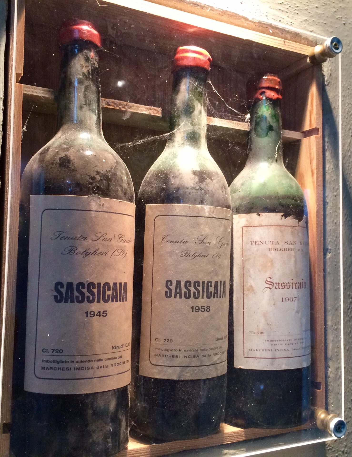 Un vino di razza. La leggenda del Sassicaia