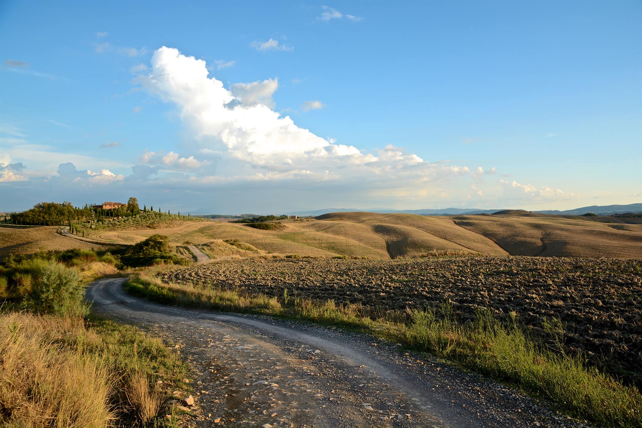 Passeggiata da Siena ad Asciano sulle orme di mercanti, artisti e pellegrini