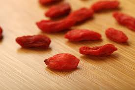 La ricerca. Nasce in Maremma la filiera italiana di bacche di Goji