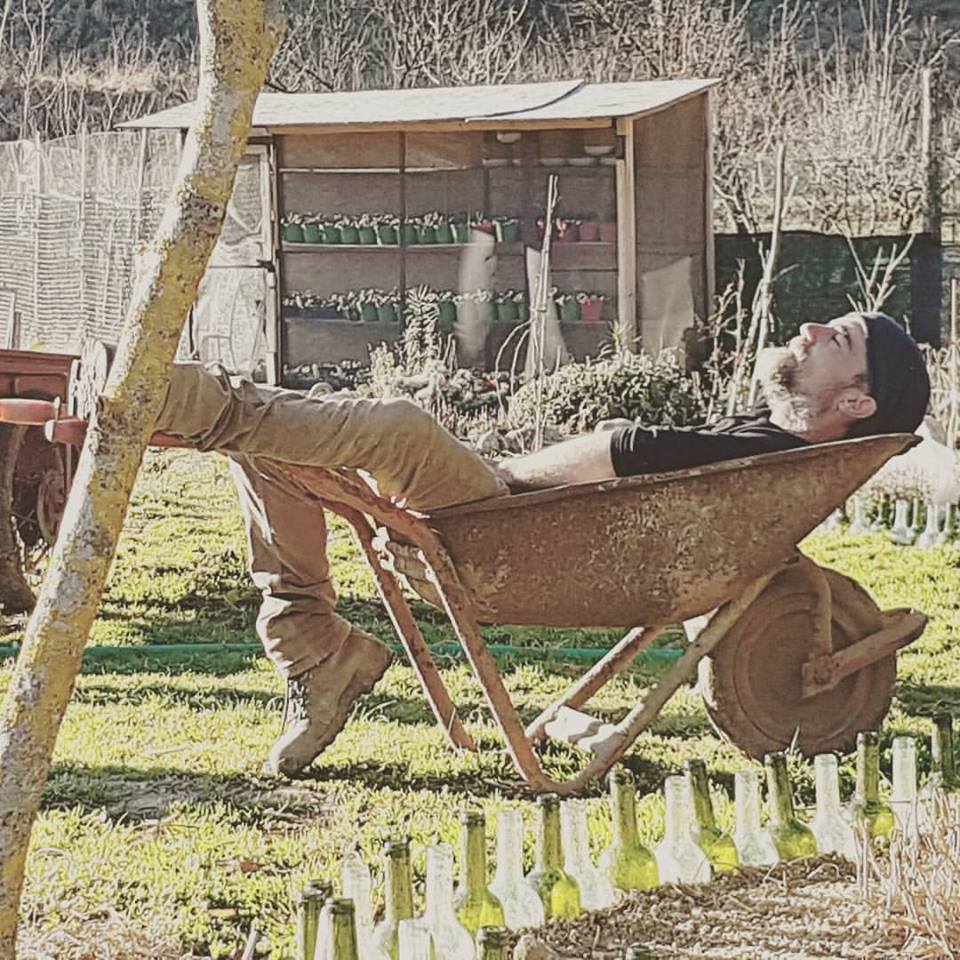 Con il cavolo a merenda l’orto diventa salotto