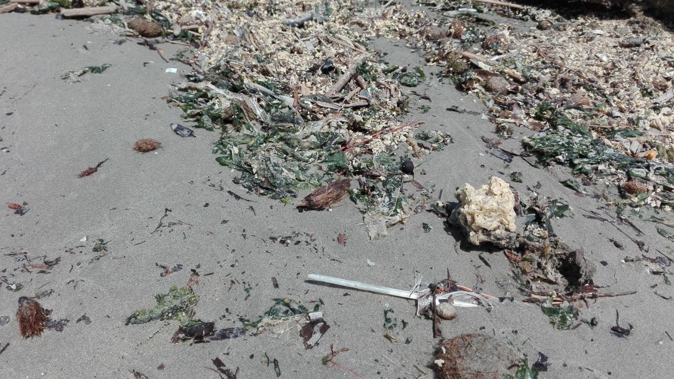 Inquinamento ambientale. Costa toscana invasa da schiume, la denuncia di Goletta Verde: «Sversamenti criminali»