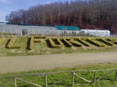 Forteto, Comune di Vicchio condannato a risarcire una vittima