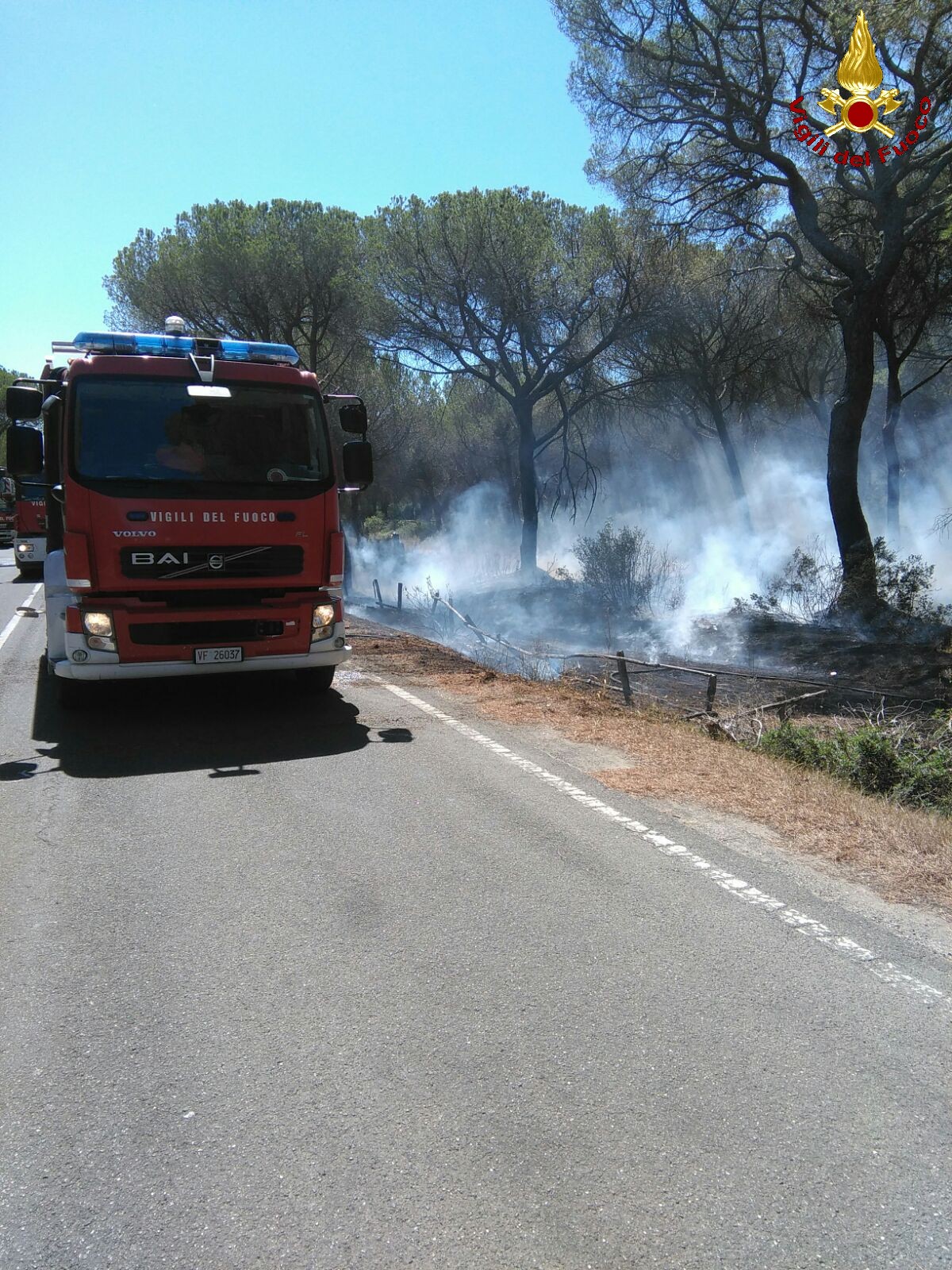 La Maremma in fiamme. I sindaci chiedono l’invio dell’Esercito: «E’ dolo organizzato»
