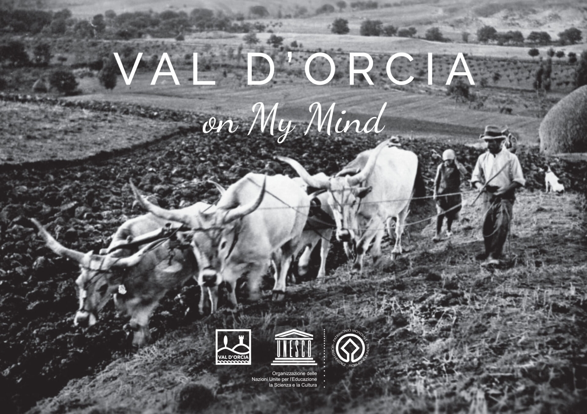 Val d’Orcia on My Mind. Al via la campagna fotografica per raccontare l’icona della Toscana nel mondo