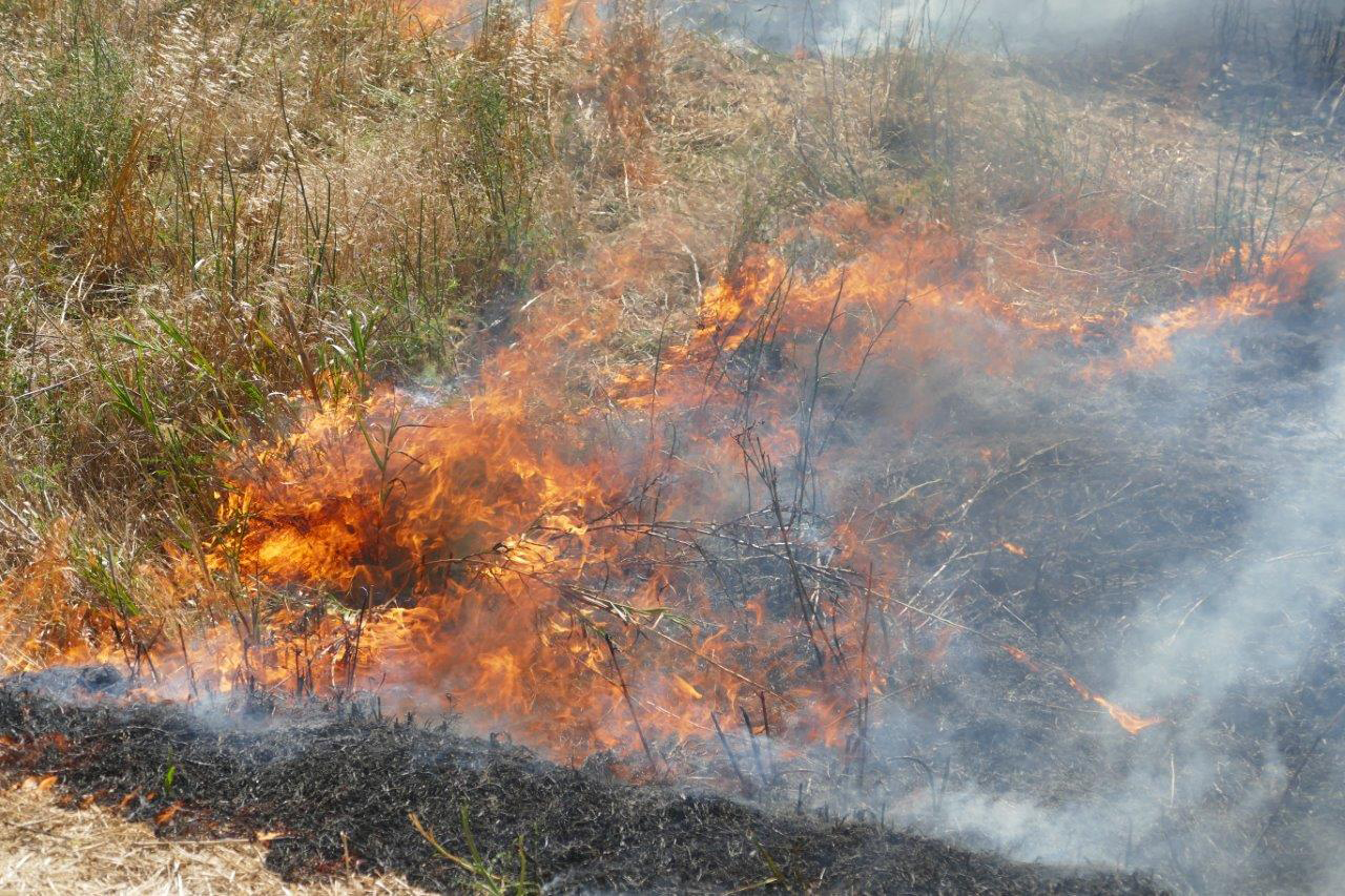 Prevenzione on line. Bollettino sul rischio incendi boschivi in ogni comune della Toscana