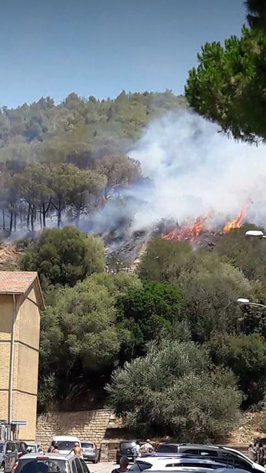 Incolumità a rischio. Legambiente: «Più impegno da Regione Toscana per fronteggiare incendi»