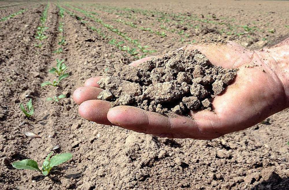 Siccità, richieste di risarcimento per 260 milioni: disponibile un fondo ministeriale
