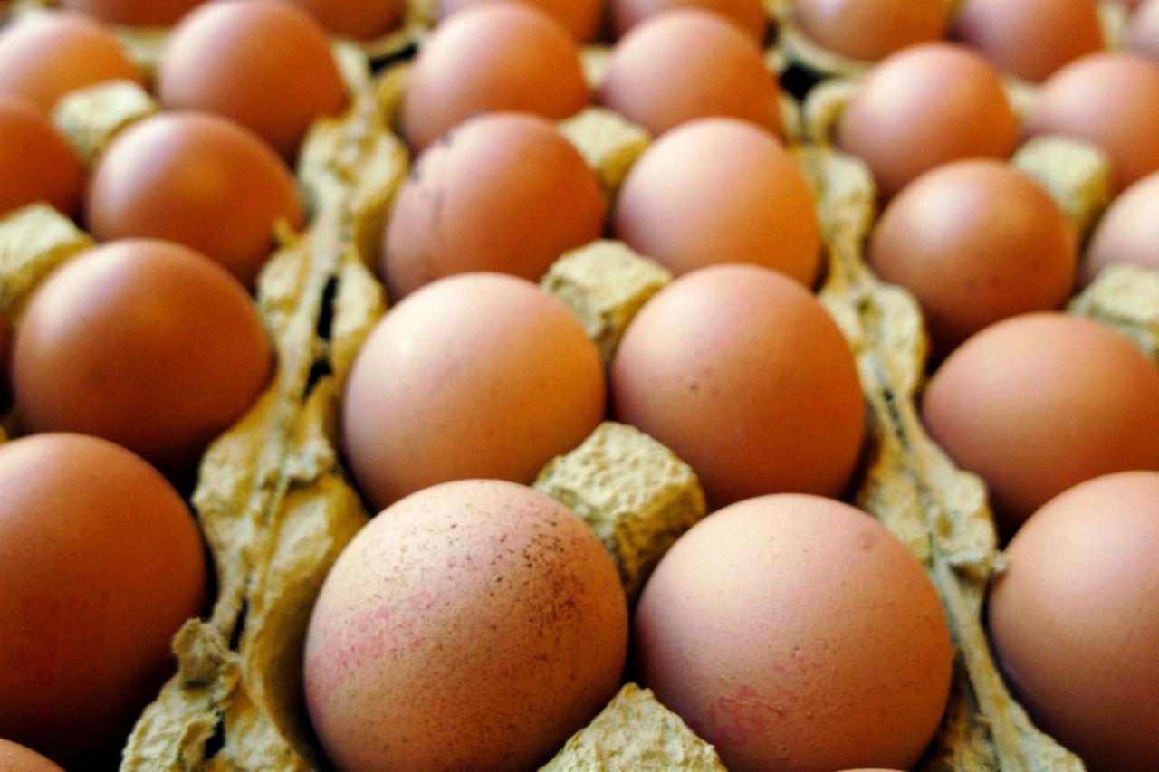 Controlli a tappeto. Verifiche su 31mila uova al fipronil in un’azienda di distribuzione del Monte Amiata