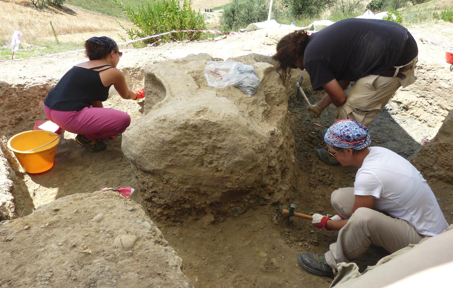 Valdarno Savana. Ritrovati i resti di un mammuth risalente a 1,5 mln di anni fa
