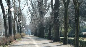 Onda verde. Un albero nuovo per ogni neonato in città, il sindaco: «Nostro obiettivo piantarne 10mila»